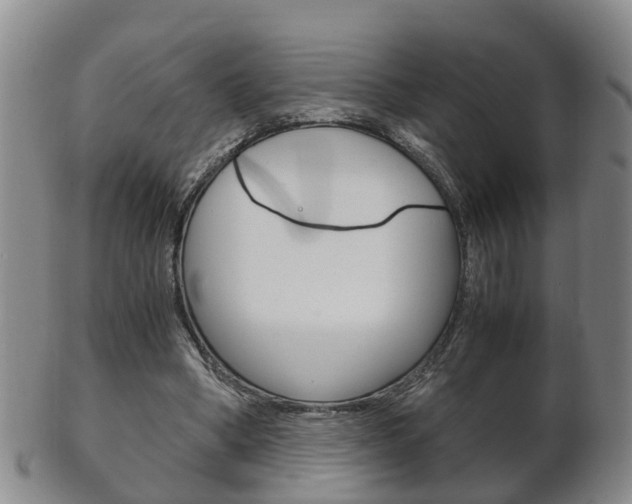 X0000102510394200808081011