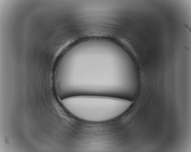 X0000102510395200808081011
