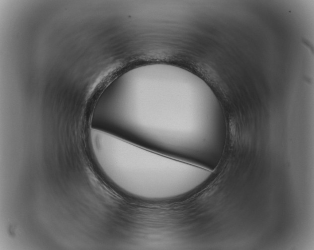X0000102510396200808081011