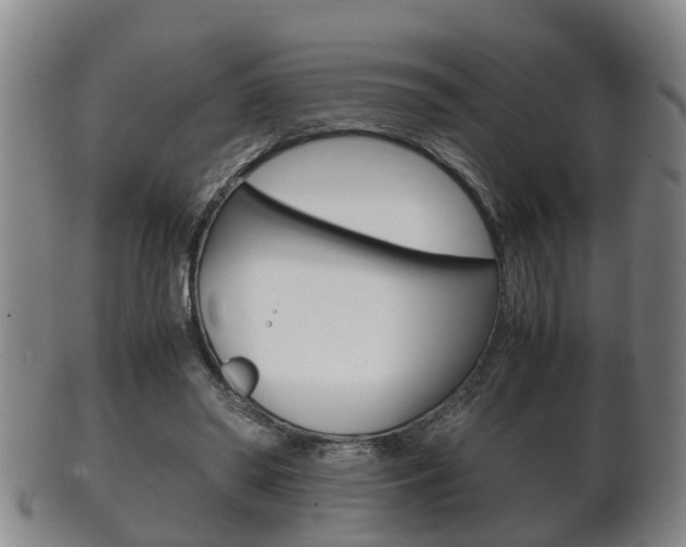 X0000102510398200808081011