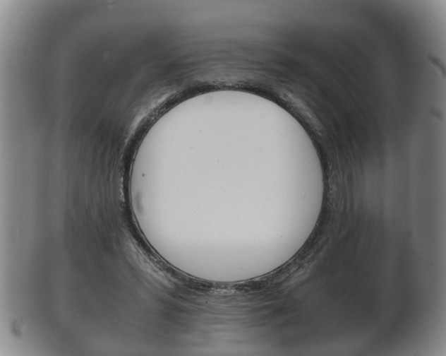 X0000102510399200808081011