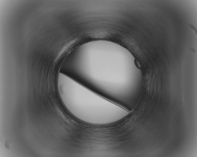 X0000102510400200808081011