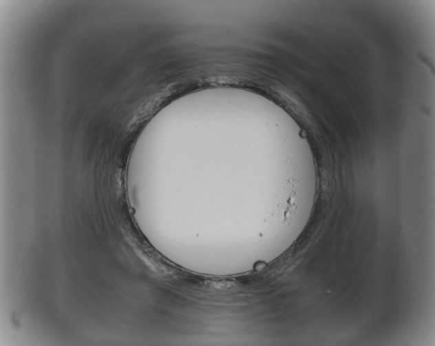 X0000102510401200808081011