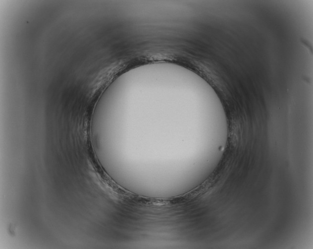X0000102510402200808081011
