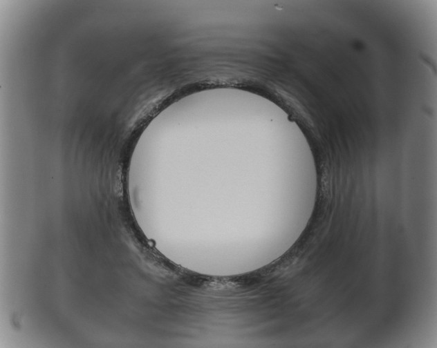 X0000102510403200808081011