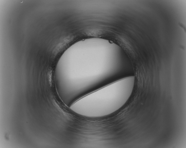 X0000102510404200808081011