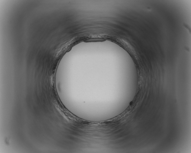 X0000102510405200808081011