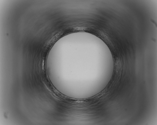 X0000102510406200808081011