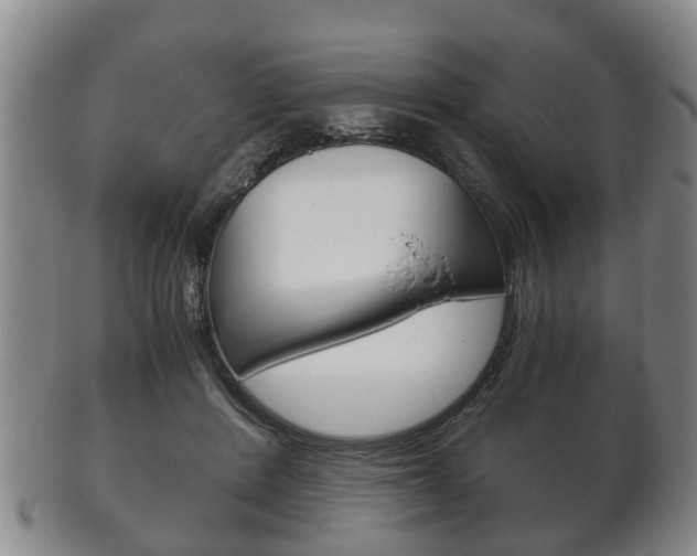 X0000102510408200808081011
