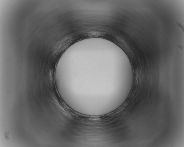 X0000102510410200808081011