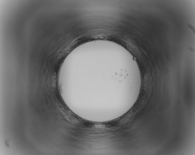 X0000102510413200808081011