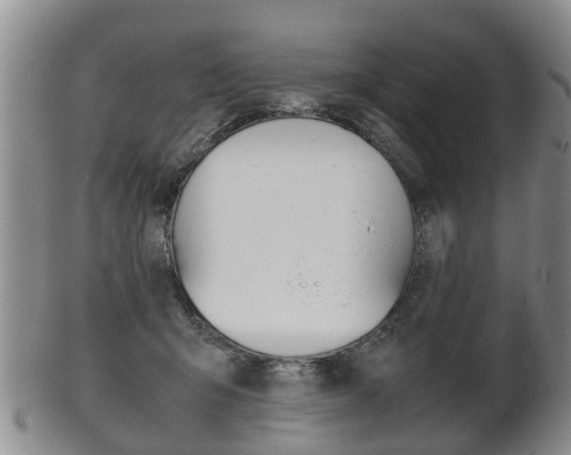 X0000102510415200808081011