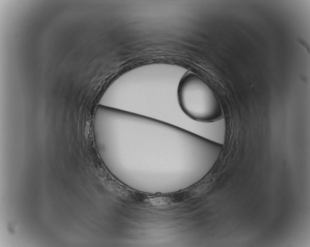 X0000102510417200808081011