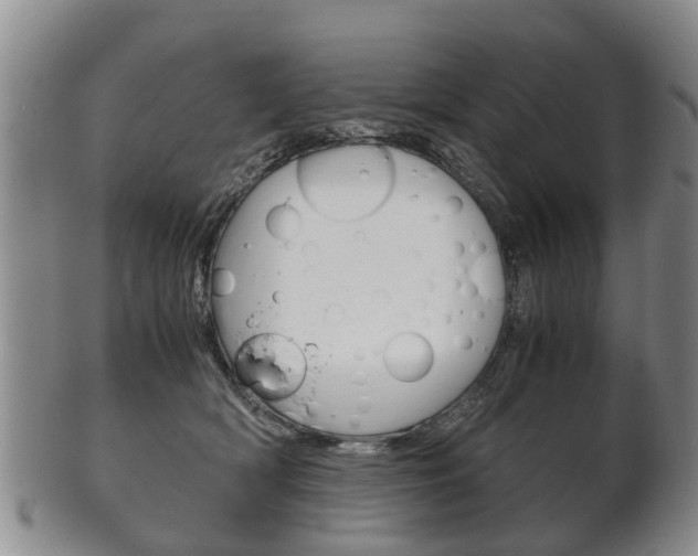 X0000102510418200808081011