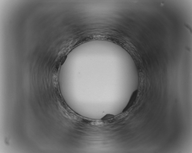 X0000102510419200808081011