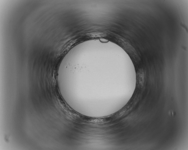 X0000102510422200808081011