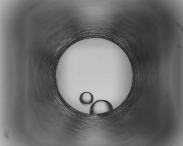 X0000102510423200808081011