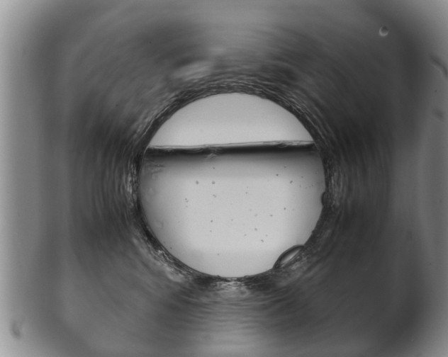 X0000102510424200808081011