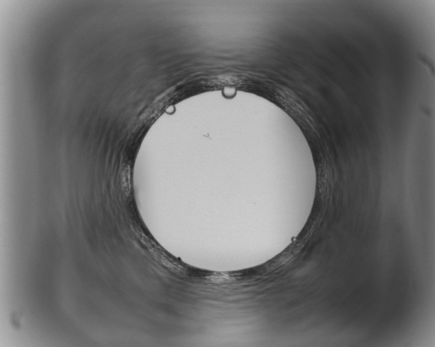 X0000102510425200808081011