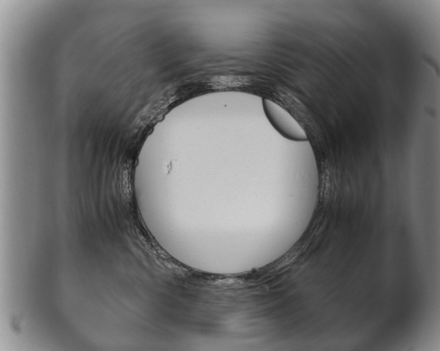 X0000102510426200808081011