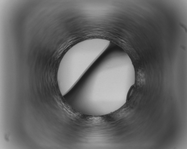 X0000102510428200808081011