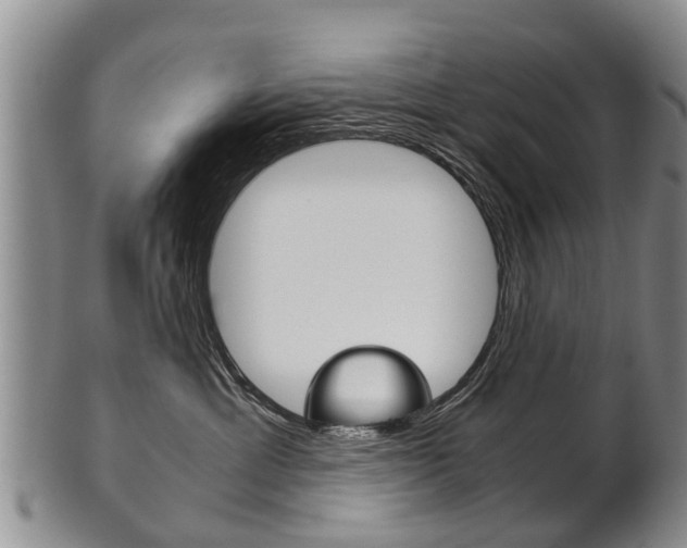 X0000102510429200808081011