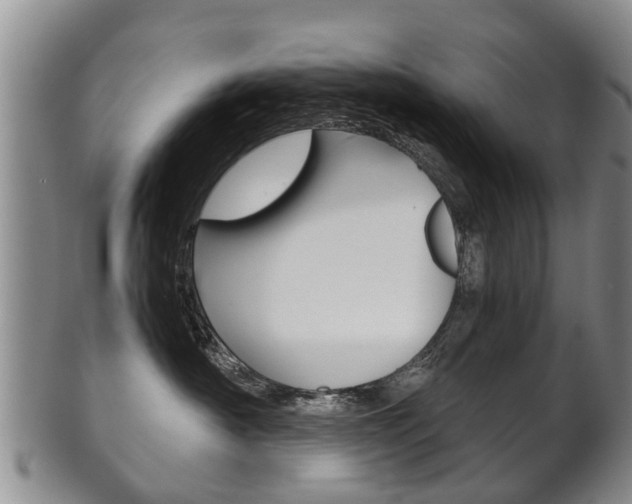 X0000102510430200808081011