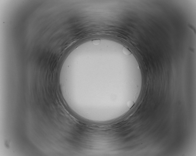 X0000102510431200808081011