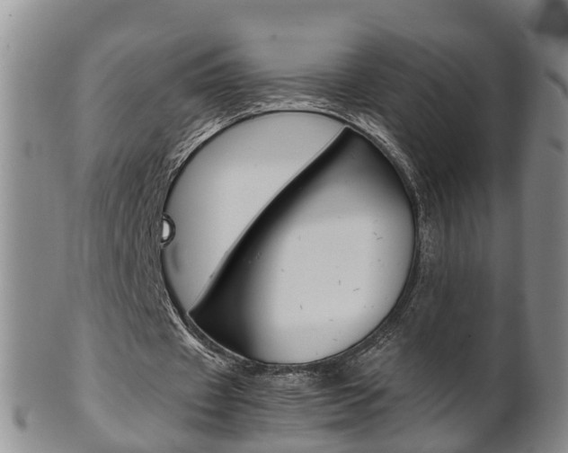 X0000102510433200808081010
