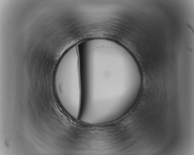 X0000102510434200808081010