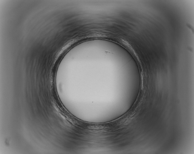 X0000102510435200808081010
