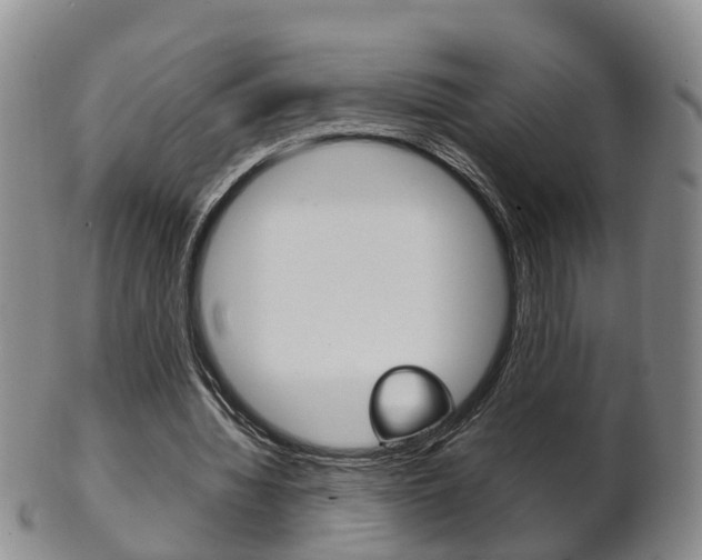 X0000102510436200808081010