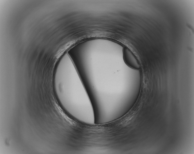 X0000102510437200808081010