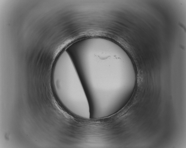 X0000102510438200808081010