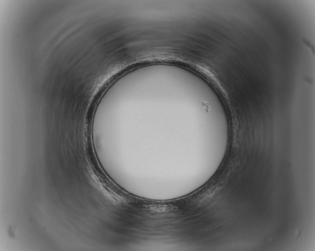X0000102510439200808081010