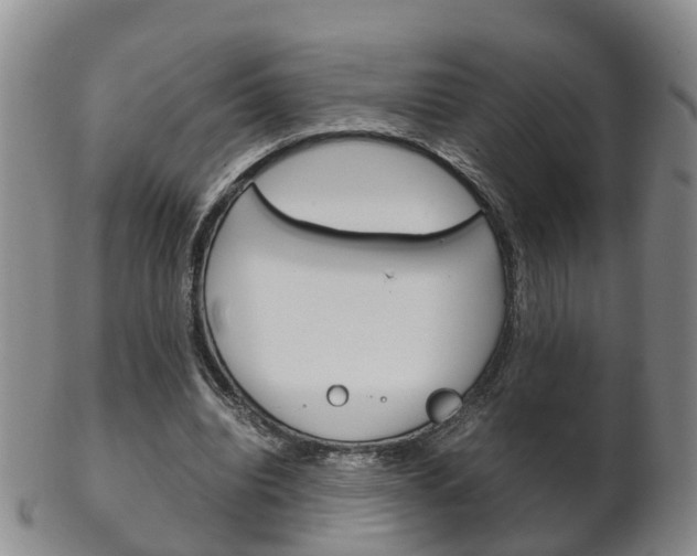 X0000102510440200808081010