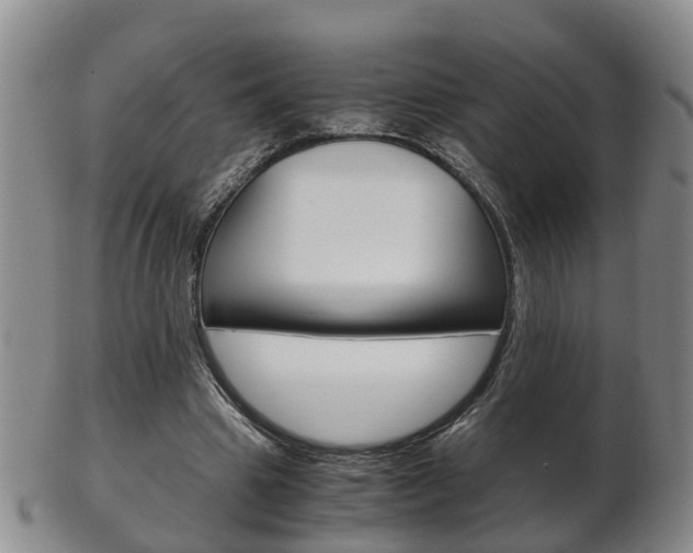 X0000102510441200808081010