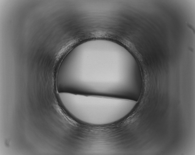 X0000102510442200808081010