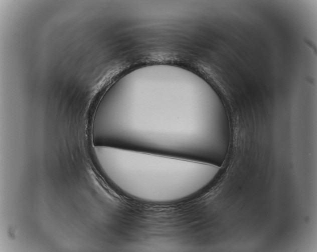 X0000102510443200808081010