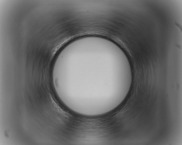 X0000102510444200808081010