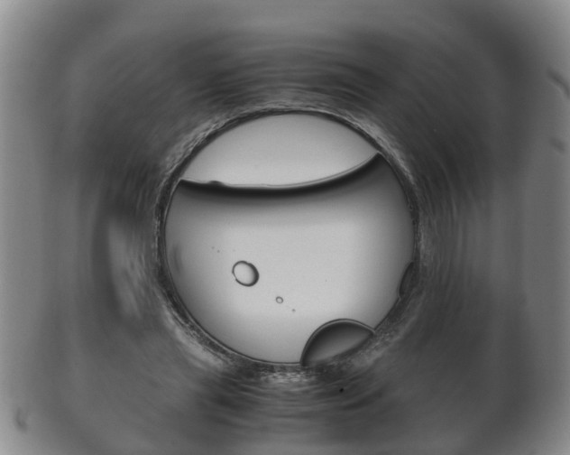 X0000102510445200808081010