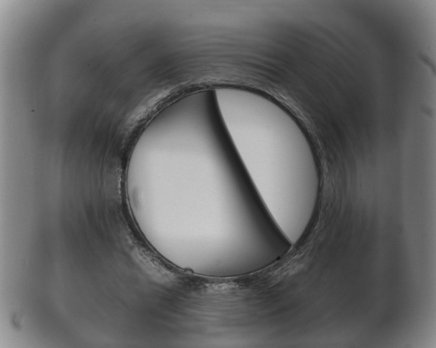 X0000102510446200808081010