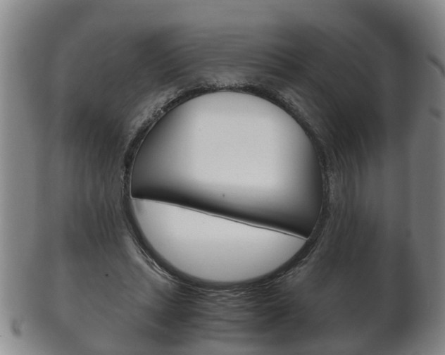 X0000102510447200808081010