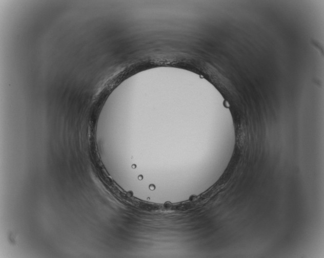 X0000102510448200808081010