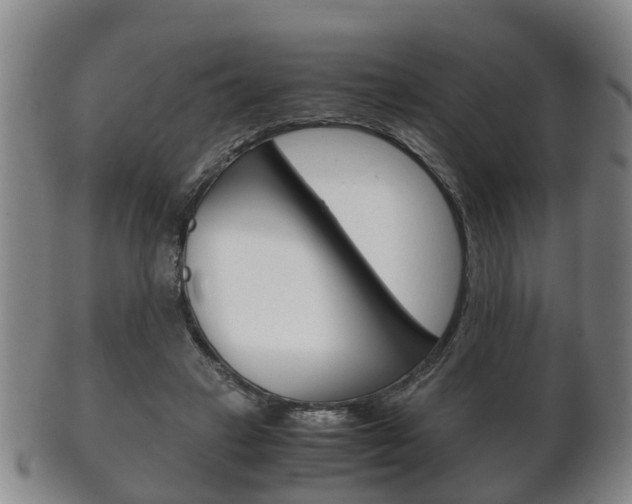 X0000102510449200808081010