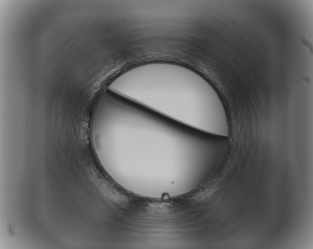 X0000102510450200808081011