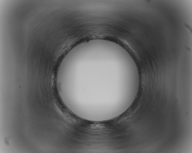 X0000102510451200808081011