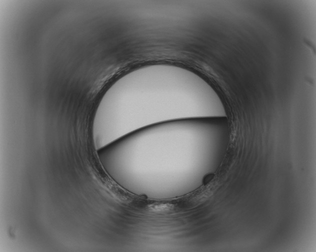 X0000102510452200808081011