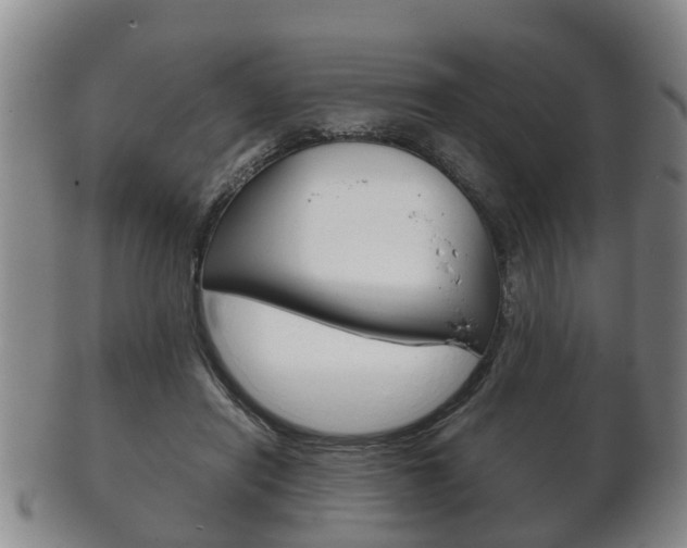X0000102510454200808081011