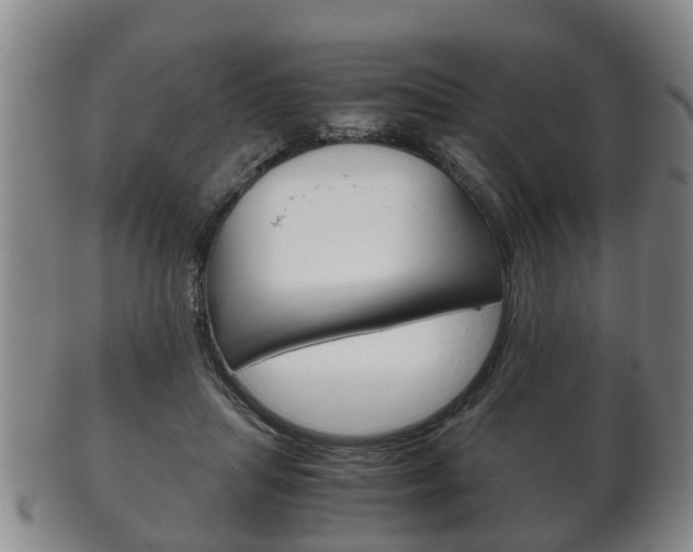 X0000102510455200808081011